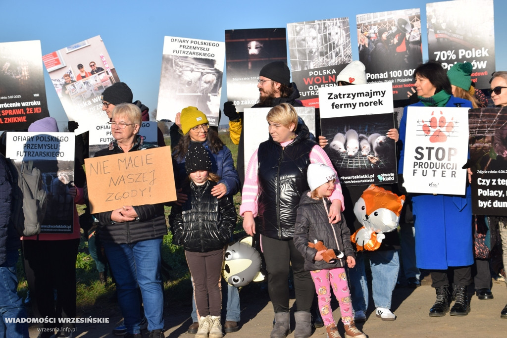 Spotkanie pod fermą norek w Kawęczynie