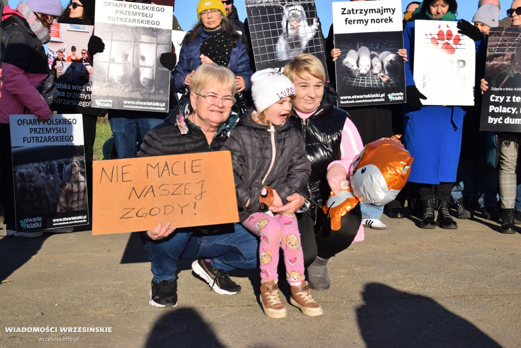 Spotkanie pod fermą norek w Kawęczynie