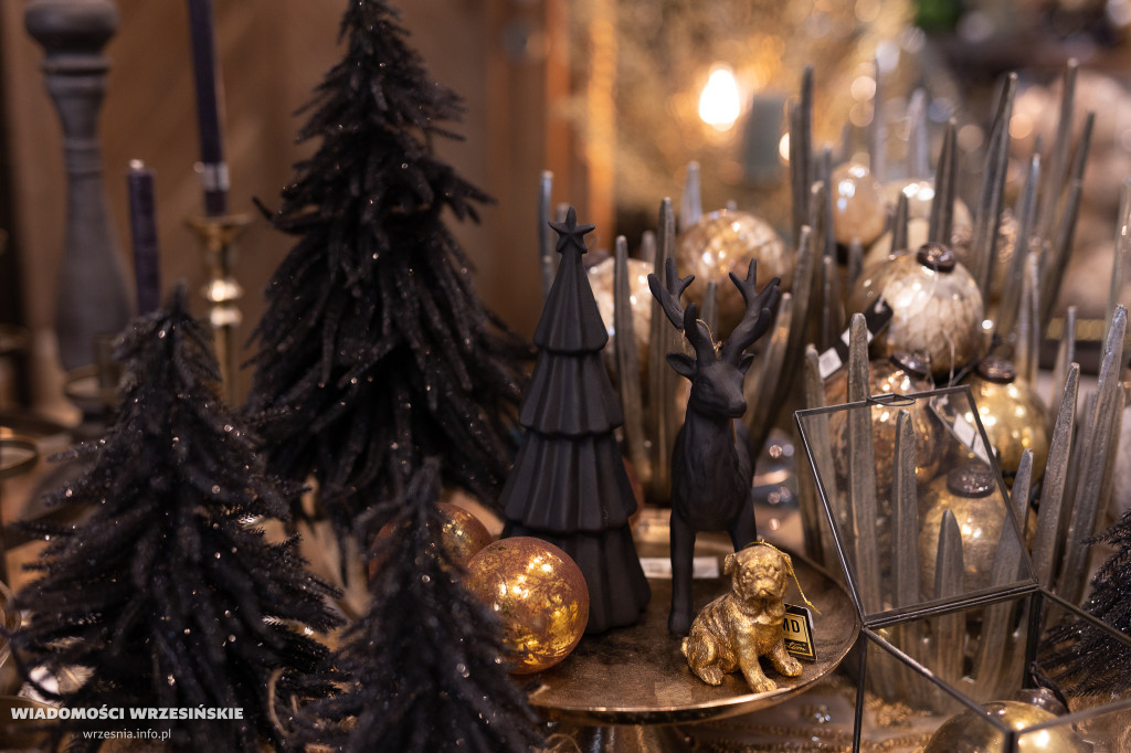 Świąteczne światy Zielonej Fabryki