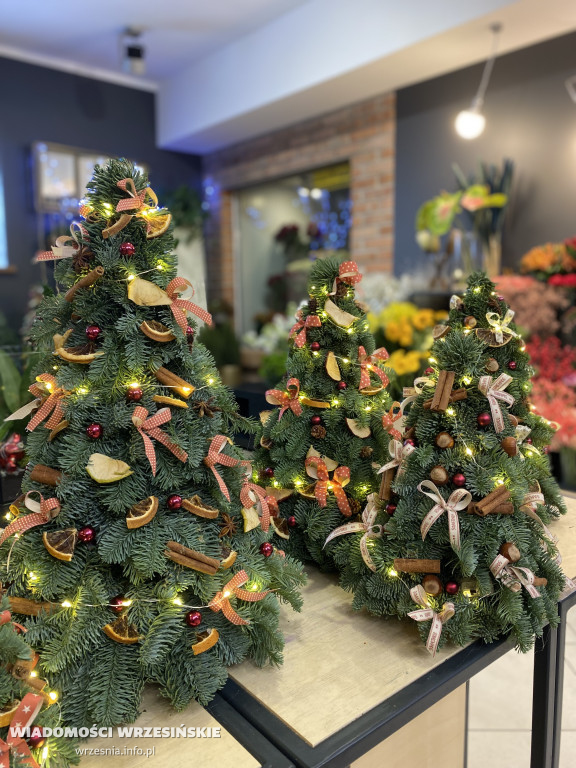 Świąteczne światy Zielonej Fabryki