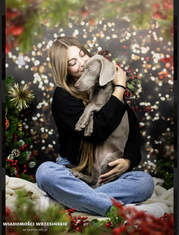 Świąteczne światy Zielonej Fabryki