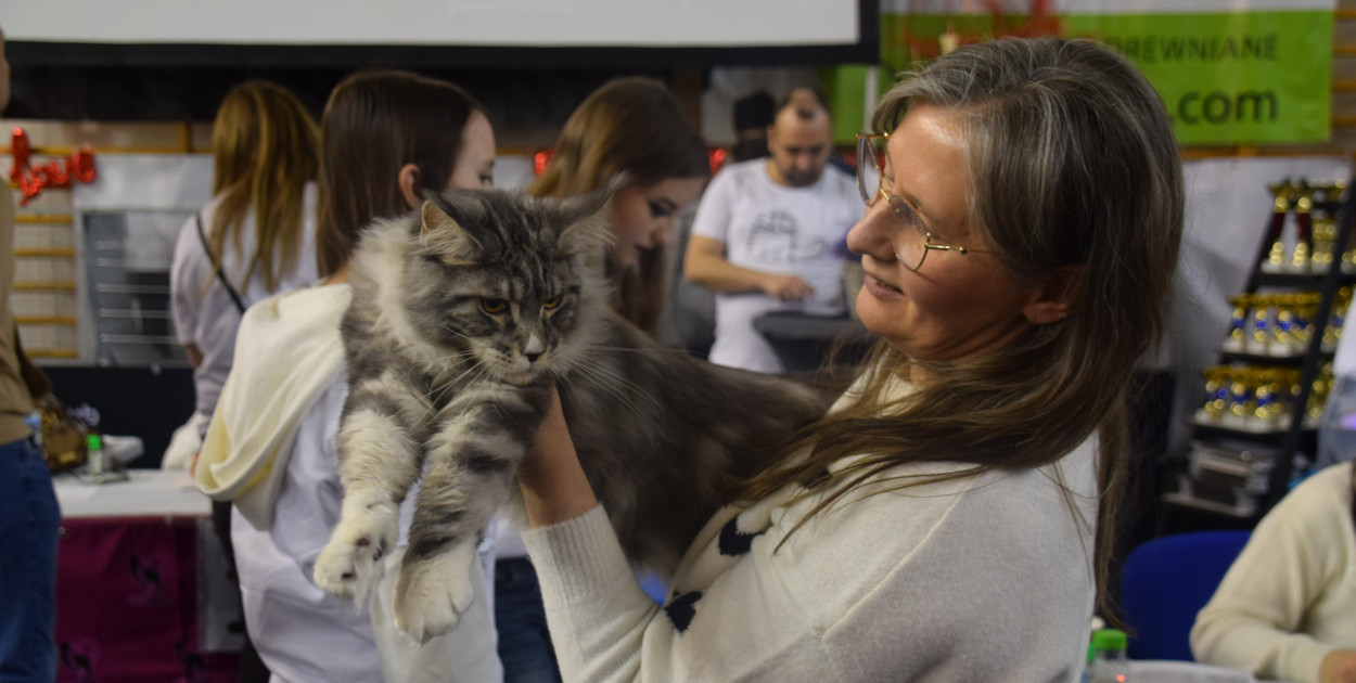 Międzynarodowa Wystawa Kotów we Wrześni
