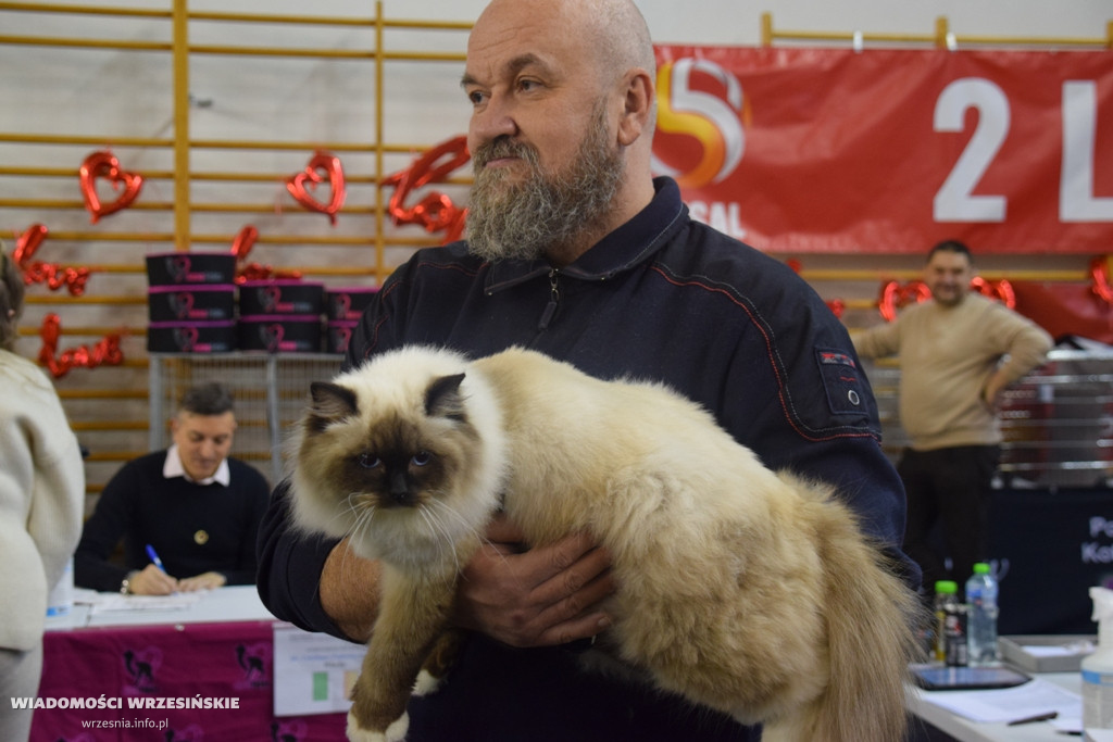 Międzynarodowa Wystawa Kotów we Wrześni