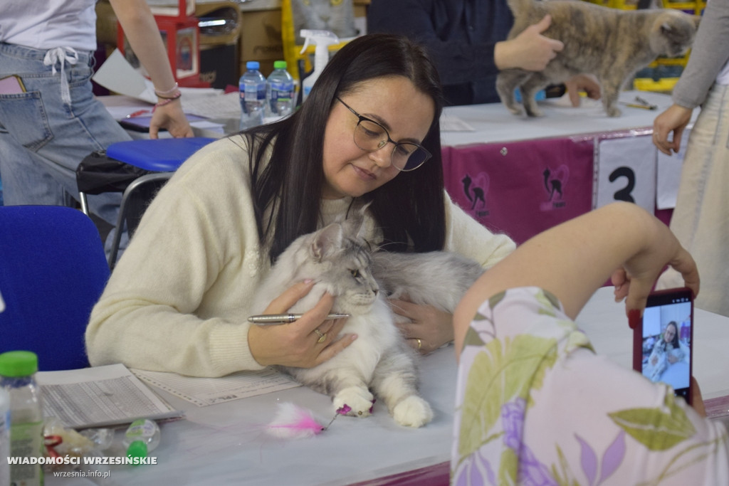 Międzynarodowa Wystawa Kotów we Wrześni