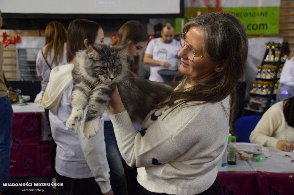 Międzynarodowa Wystawa Kotów we Wrześni