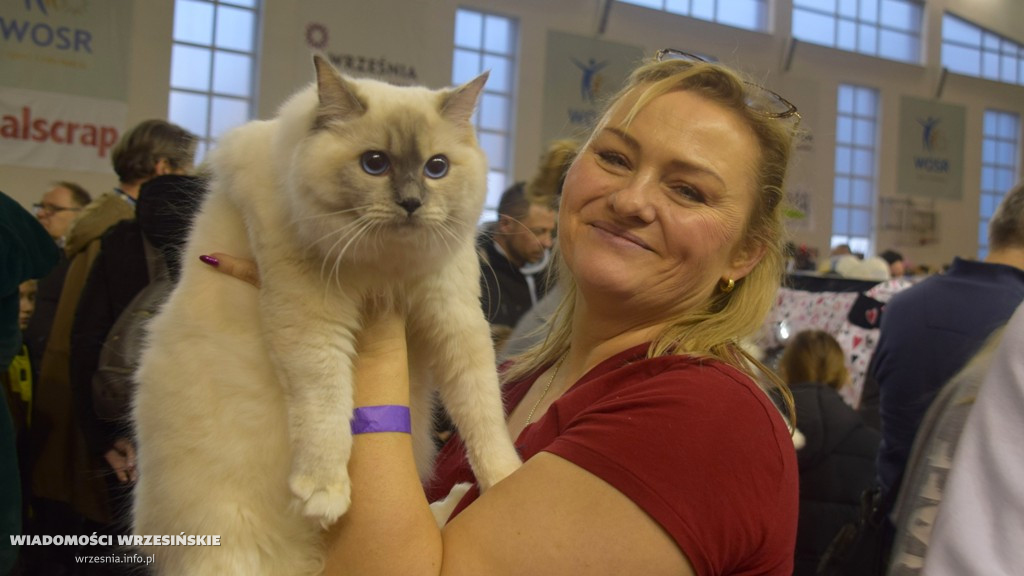 Międzynarodowa Wystawa Kotów we Wrześni