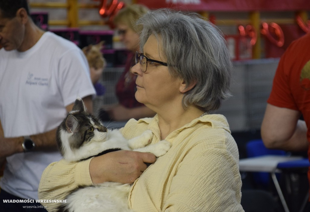 Międzynarodowa Wystawa Kotów we Wrześni