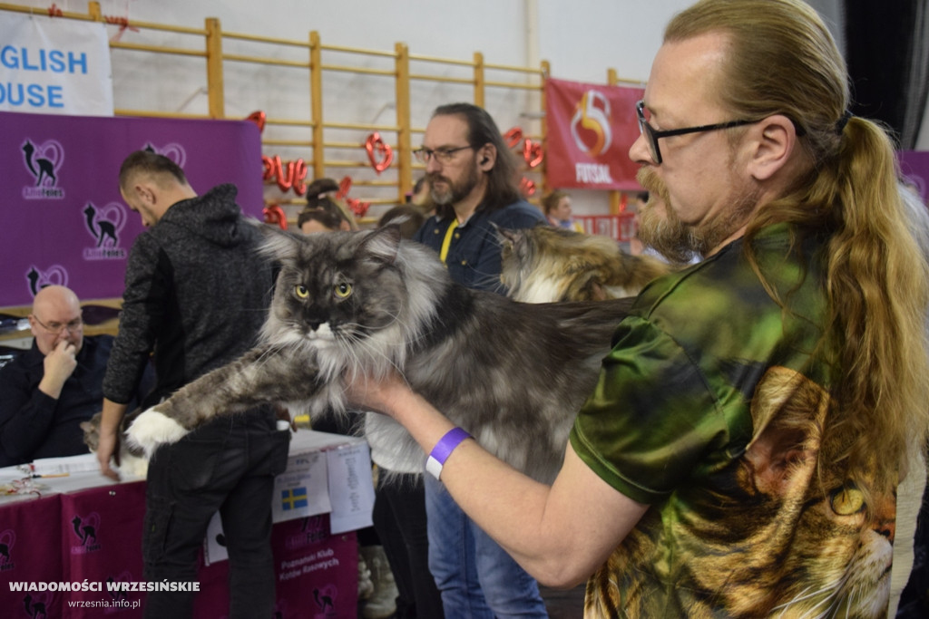 Międzynarodowa Wystawa Kotów we Wrześni
