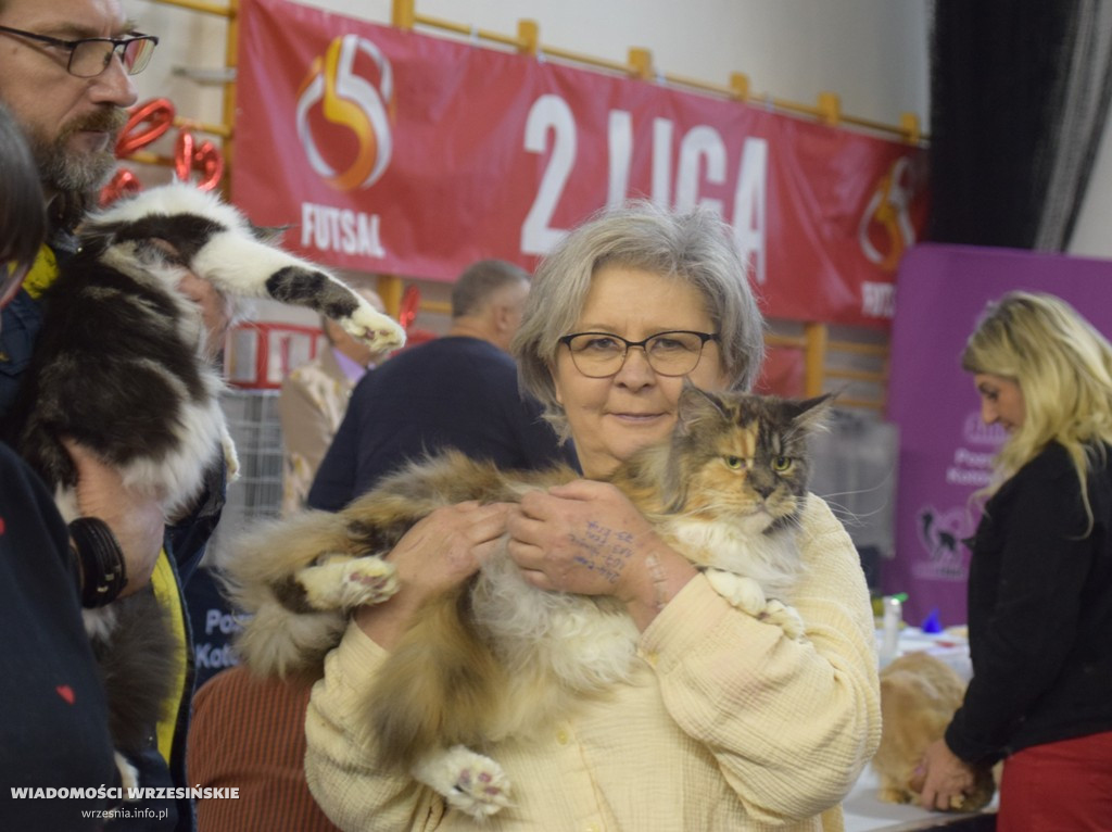 Międzynarodowa Wystawa Kotów we Wrześni