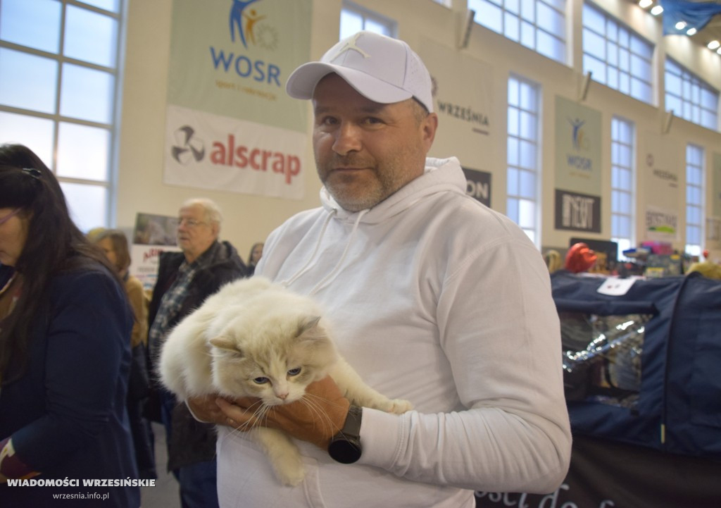 Międzynarodowa Wystawa Kotów we Wrześni