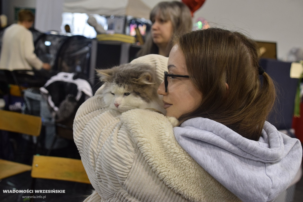 Międzynarodowa Wystawa Kotów we Wrześni