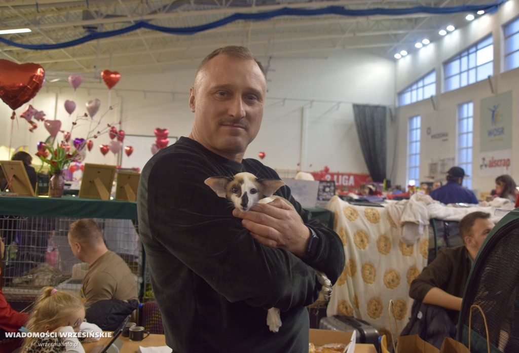 Międzynarodowa Wystawa Kotów we Wrześni