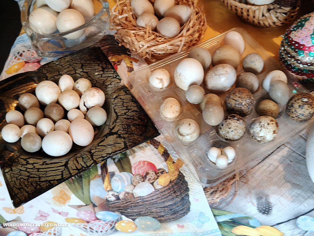 Mini Zoo Pawłowo - tam, gdzie rządzi jajko