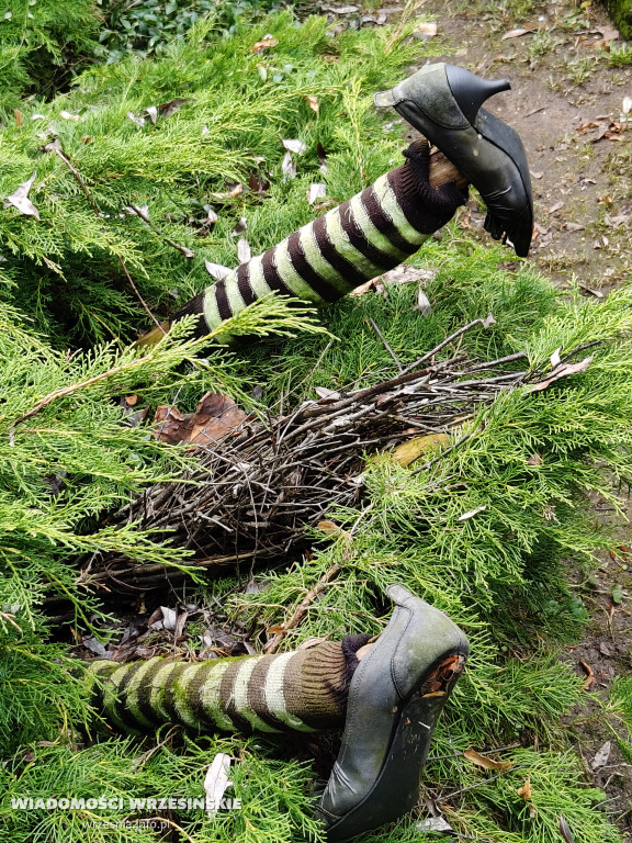 Mini Zoo Pawłowo - tam, gdzie rządzi jajko