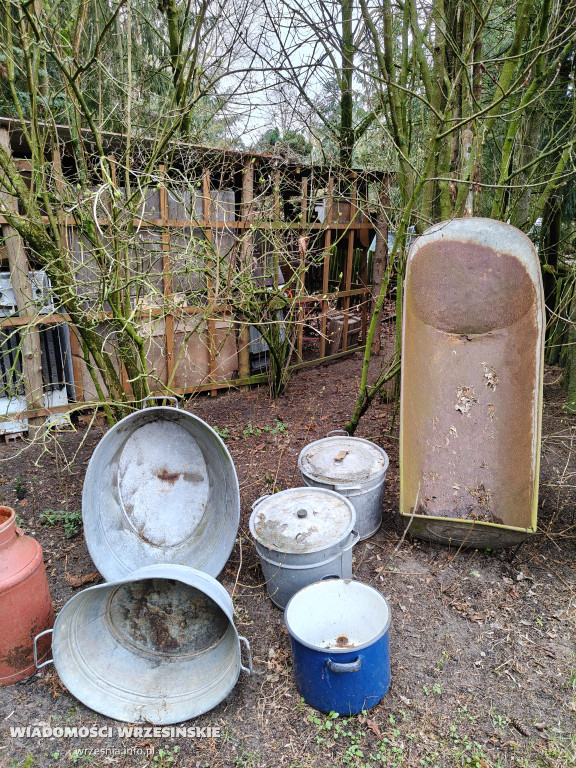 Mini Zoo Pawłowo - tam, gdzie rządzi jajko