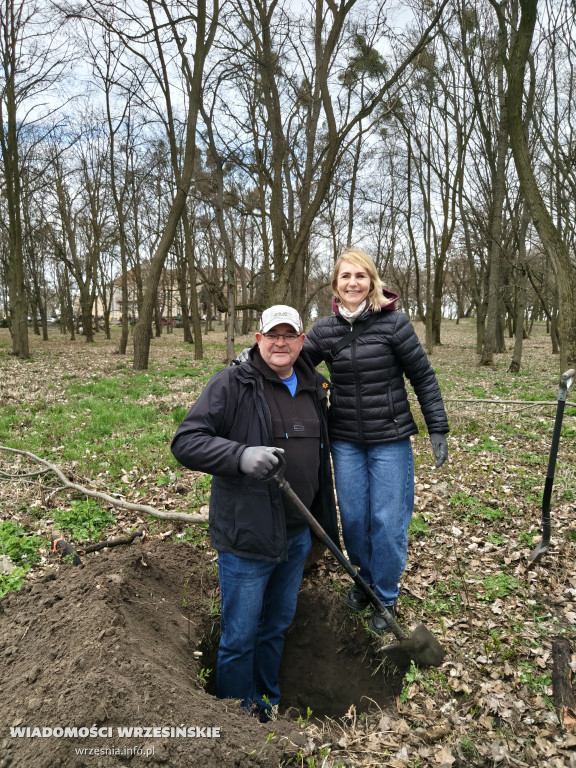 Nasadzenia drzew przy schronisku w Zielińcu