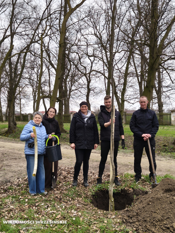 Nasadzenia drzew przy schronisku w Zielińcu