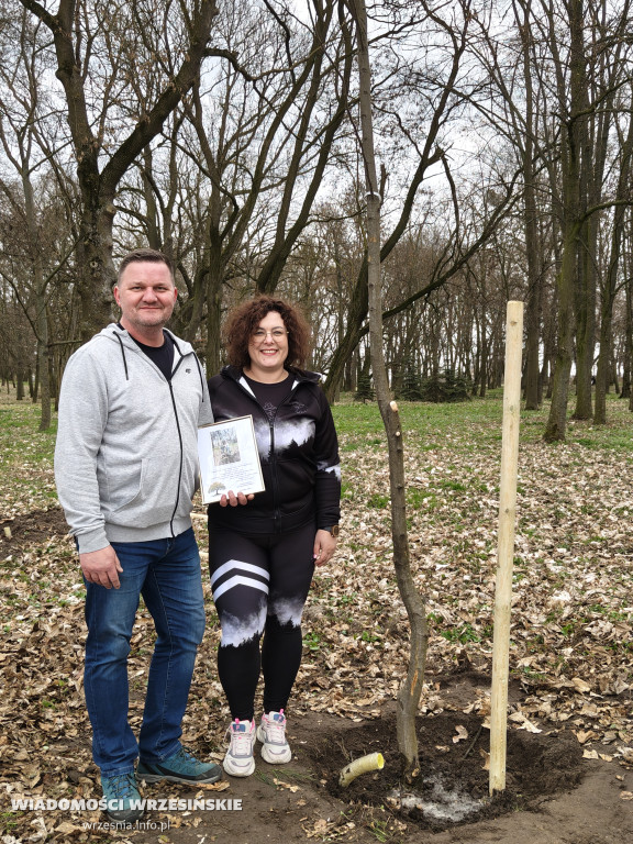 Nasadzenia drzew przy schronisku w Zielińcu