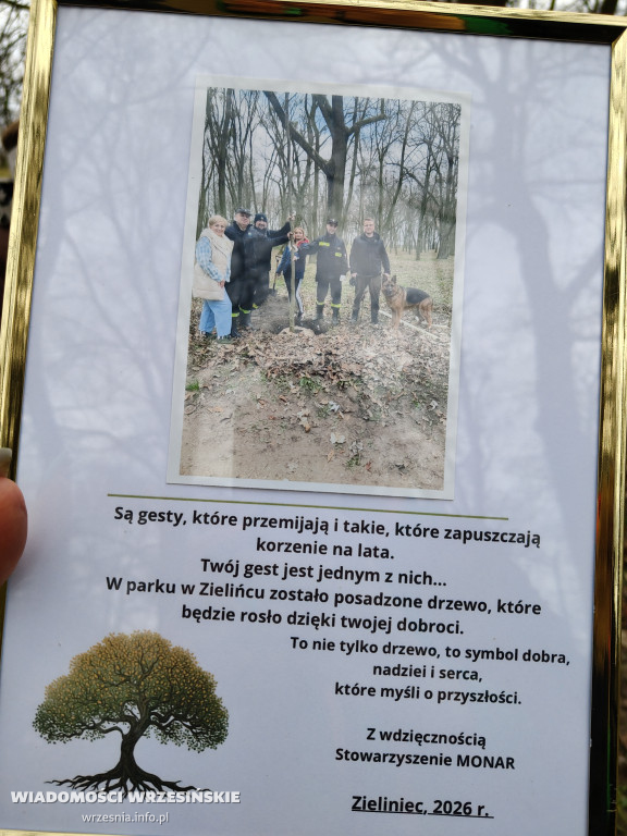 Nasadzenia drzew przy schronisku w Zielińcu