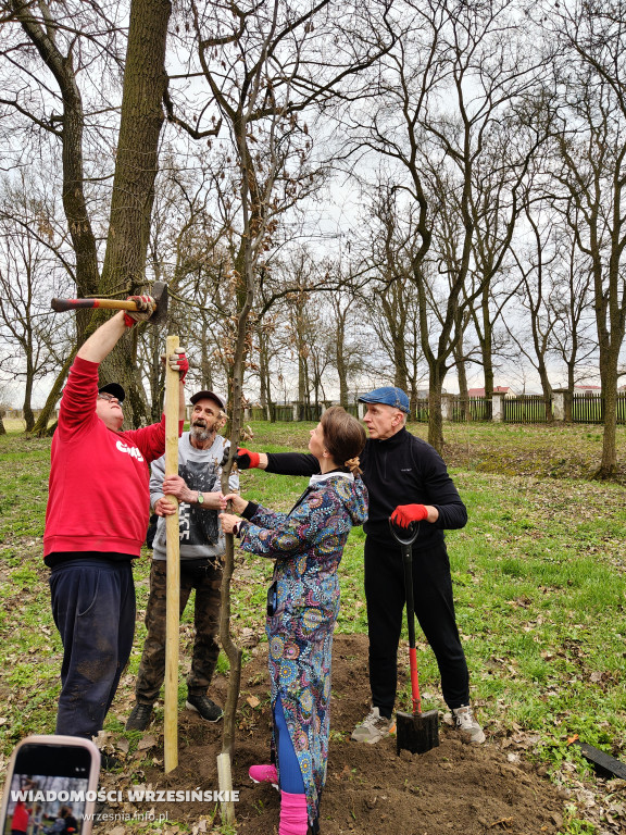 Nasadzenia drzew przy schronisku w Zielińcu