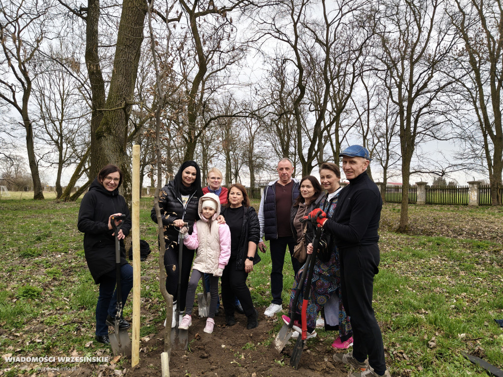 Nasadzenia drzew przy schronisku w Zielińcu