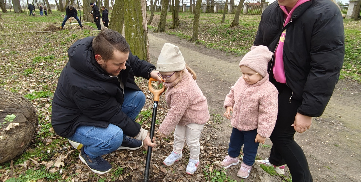 Nasadzenia drzew przy schronisku w Zielińcu
