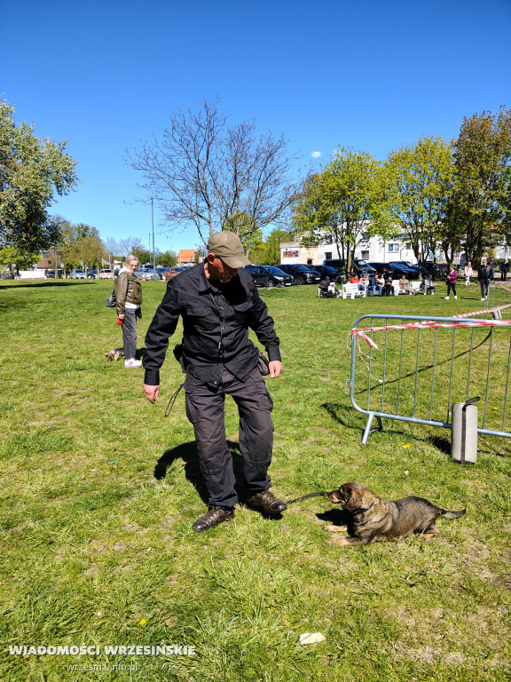 Psie spotkanie przy tężni na Wrzosowej