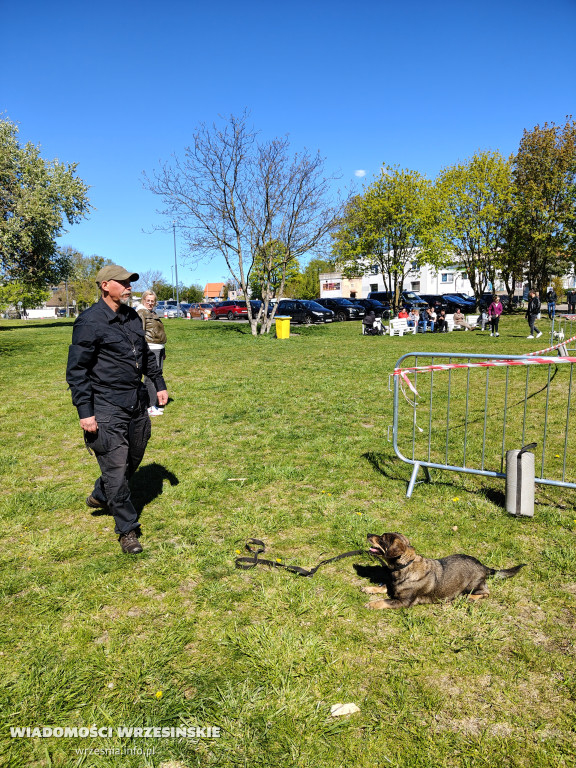 Psie spotkanie przy tężni na Wrzosowej