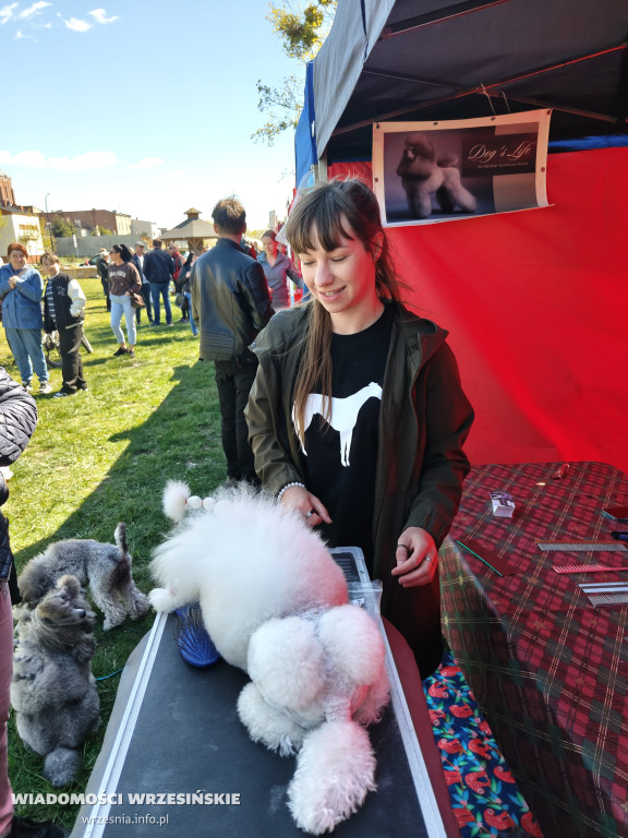 Psie spotkanie przy tężni na Wrzosowej