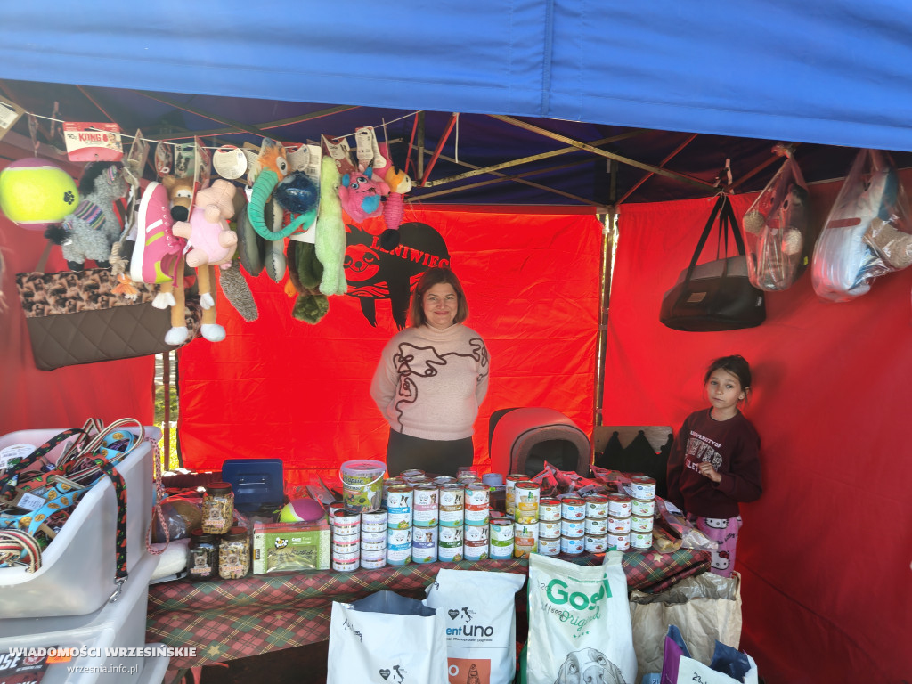 Psie spotkanie przy tężni na Wrzosowej