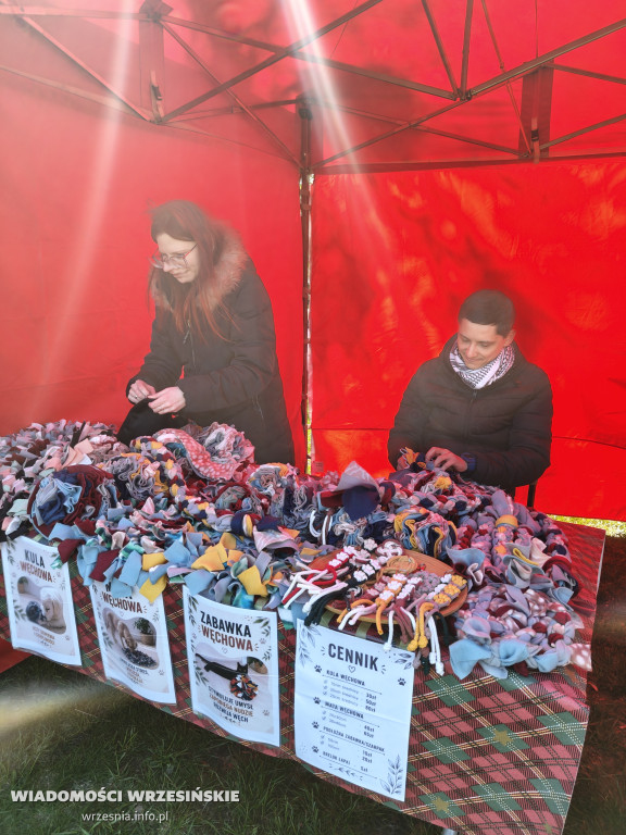 Psie spotkanie przy tężni na Wrzosowej