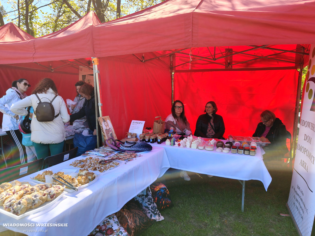 Psie spotkanie przy tężni na Wrzosowej