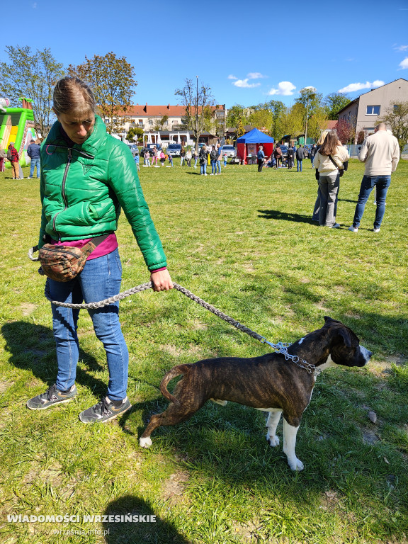Psie spotkanie przy tężni na Wrzosowej