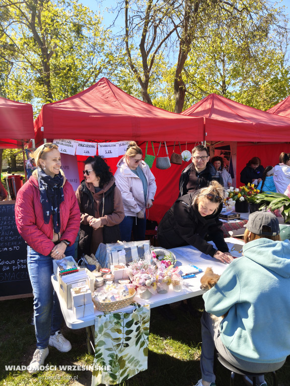 Psie spotkanie przy tężni na Wrzosowej