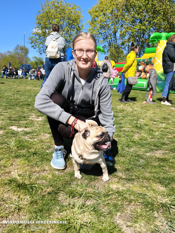 Psie spotkanie przy tężni na Wrzosowej