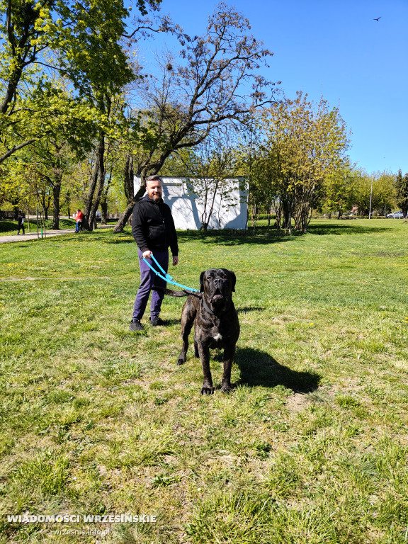Psie spotkanie przy tężni na Wrzosowej