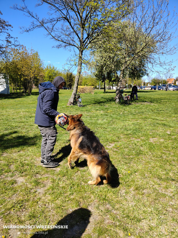 Psie spotkanie przy tężni na Wrzosowej