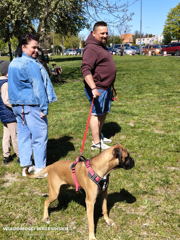 Psie spotkanie przy tężni na Wrzosowej