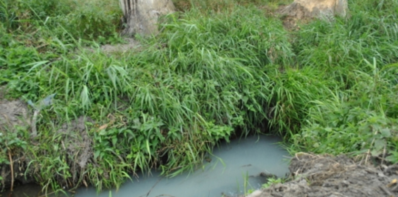 Mąciciel wody znowu atakuje kanałek (galeria/wideo)