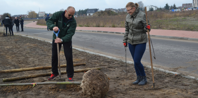Zielona moc jest z nami! Rozpoczęła się akcja sadzenia drzew