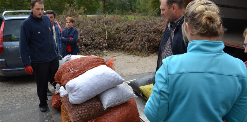 Skupią kasztany. Za kilogram owoców będzie można otrzymać 80 groszy