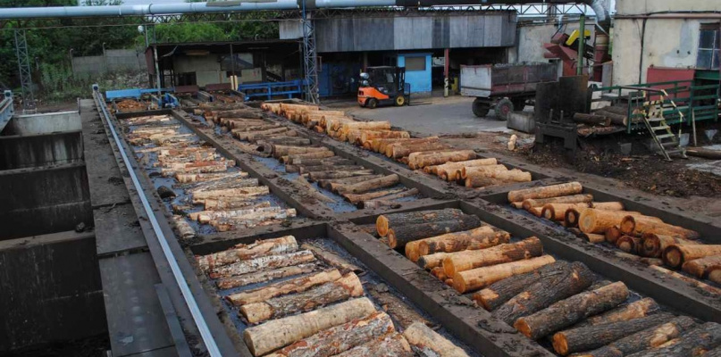 Stawiają na rozwój już od 130 lat. Sklejka Orzechowo ważna dla regionu i kraju