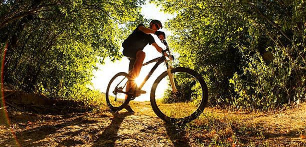 Wybór nowego roweru – czym się kierować?