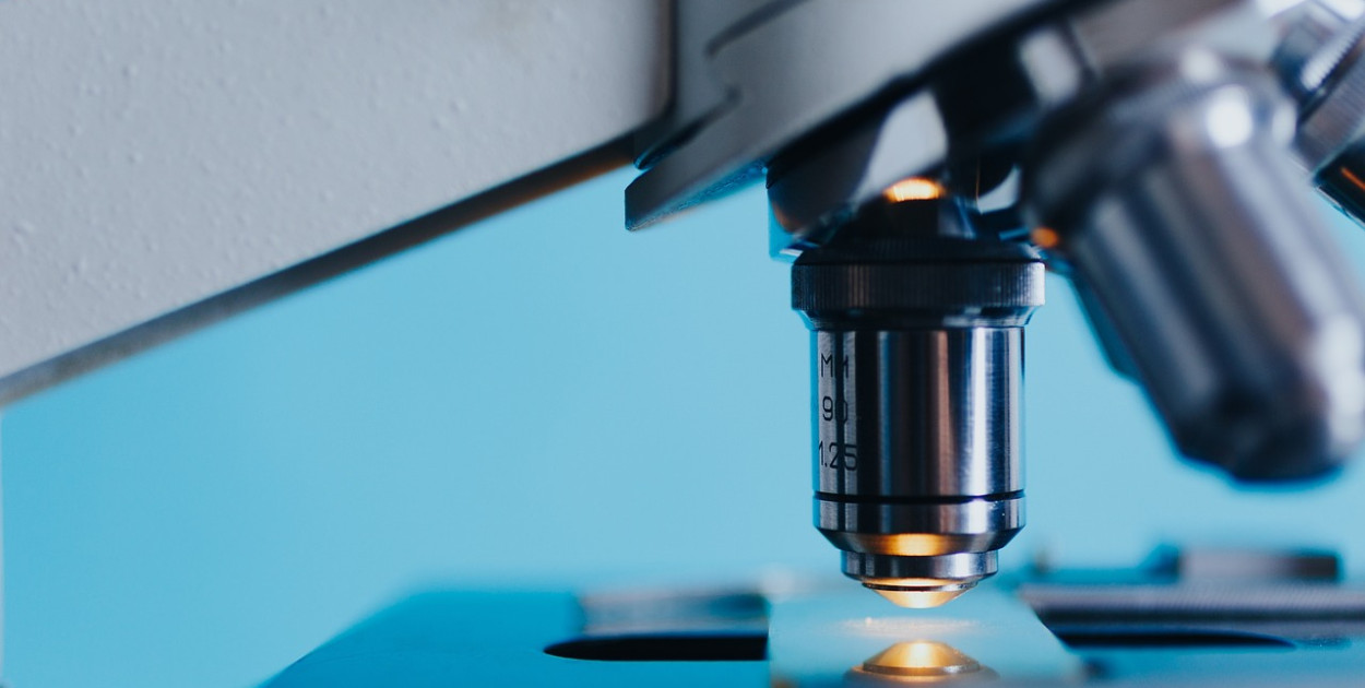 Biologia w szkole średniej – czy wszyscy uczniowie muszą się jej uczyć?