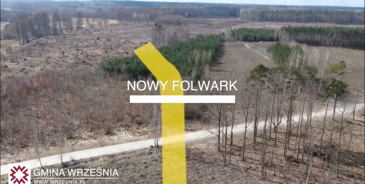 Obwodnica zniszczy las? Burmistrz: „Petycja to wątek irracjonalny” [WIDEO]