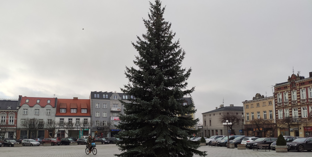 Choinka na wrzesińskim rynku czeka już na mikołajki!