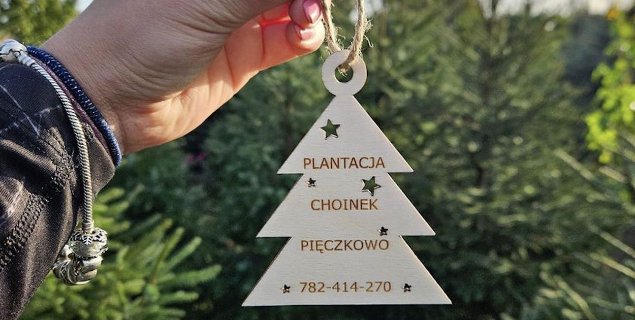 Choinki jak marzenie i nie tylko z Plantacji Pięczkowo