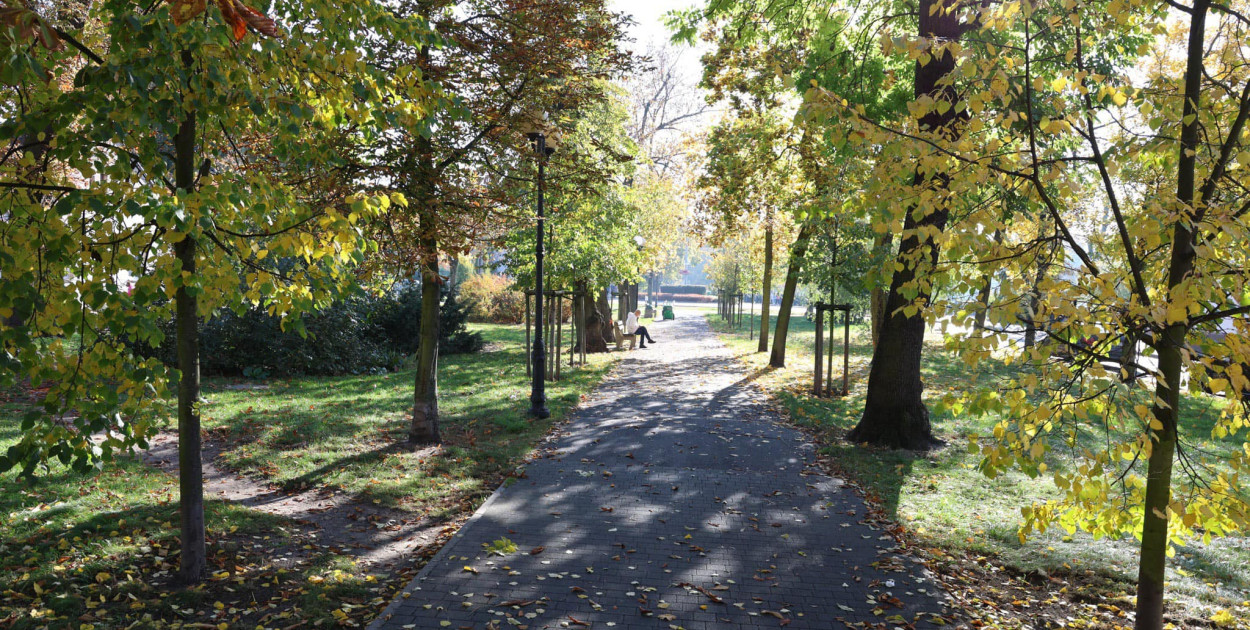 Dofinansowanie dla Wrześni na park i skwer przy Harcerskiej