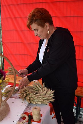 Słowiański festyn rodzinny w Bierzglinku-5867