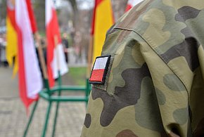 Wojsko zaprasza Polaków. Zacznie się w maju, skończy się w lipcu-29278